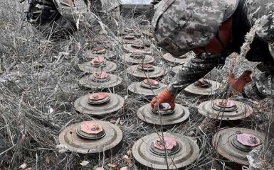 В Харьковской области на мини взорвался мужчина. Он погиб на месте