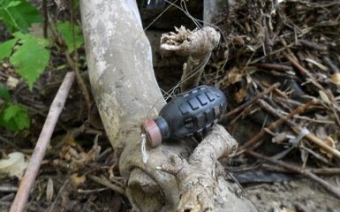 Это по-путински: соцсети возмутил случай на оккупированном Донбассе, появилось фото