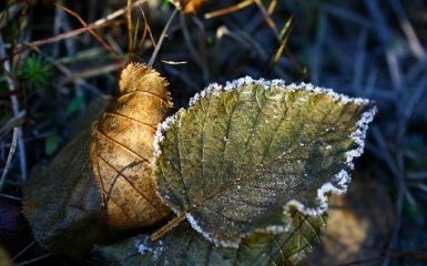 Сильні заморозки і грози: українців попередили про погіршення погоди