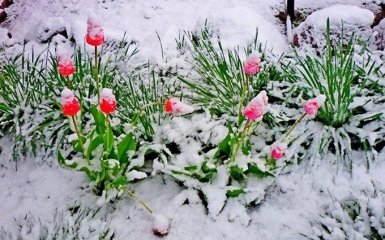 Весенние снегопады в Украине: названа причина аномальной погоды
