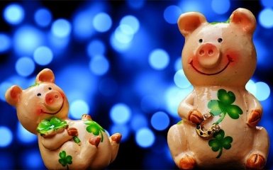 Новий рік 2019: як правильно зустрічати рік Жовтої Земляної Свині