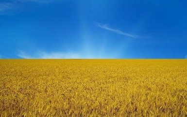 Украина улучшила свои показатели в мировом рейтинге открытости данных