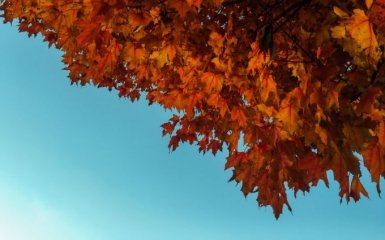 Синоптики попередили українців - подробиці