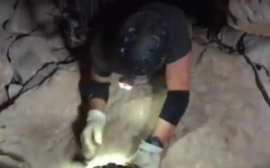 В недоступних печерах «Гранд-Каньйону» виявлені невідомі науці розумні форми життя