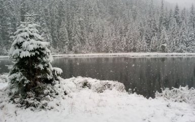 Украину продолжает засыпать снегом: зрелищные фото и видео октябрьского снегопада