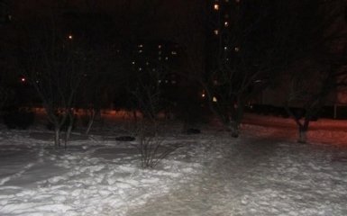 В Киеве мужчина с электрошокером грабил людей на улице: появились фото