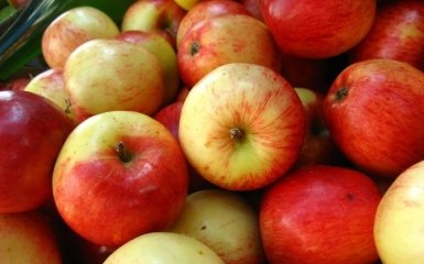 Експерти пояснили, чому люди неправильно їдять яблука