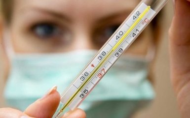 Власти Киева сделали заявление насчет вируса гриппа