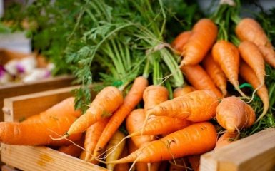 Морква — все, що потрібно знати про зберігання, заморожування і приготування