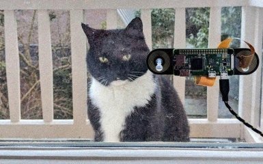 Голландский программист написал распознаватель морды кота