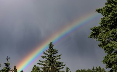 В скором времени в Украине начнутся