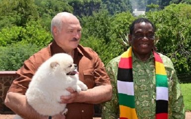 Лукашенко решил подкупить Зимбабве одним трактором — видео