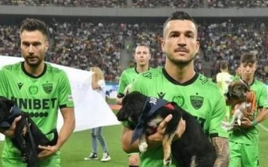 На поле с собакой - футболисты Румынии решили помочь бездомным животным