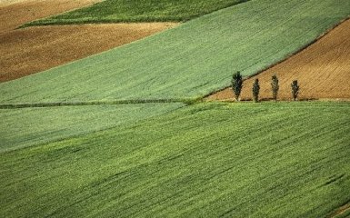 Кабмин хочет разрешить принудительное изъятие земельных участков