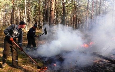 На Черниговщине вспыхнул масштабный пожар - в огне 200 га леса
