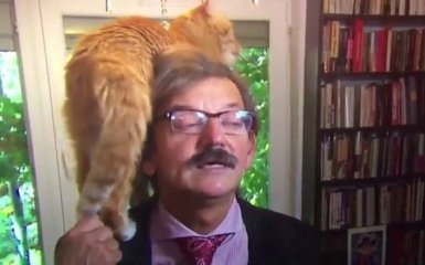 Кіт ледь не зірвав серйозне інтерв'ю і став зіркою мережі: опубліковано курйозне відео