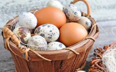 Минагрополитики ищет причину сальмонеллы в яйцах для экспорта в Израиль