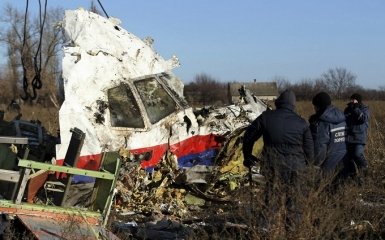 Путіна назвали відповідальним за збитий пасажирський лайнер MH17
