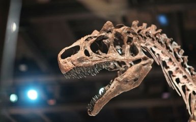 Палеонтологи открыли новый вид "устрашающего" хищного динозавра