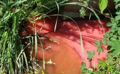 Під Києвом річка стала червоною від хімікатів: з'явилися фото