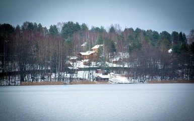 Ради людей из окружения Путина в России вырубали березы