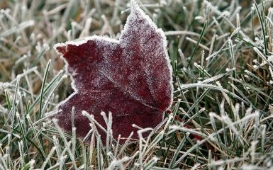 В Украину идут первые заморозки: появился прогноз погоды