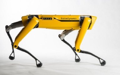 Робота влаштували на роботу в поліцію - цікаві подробиці