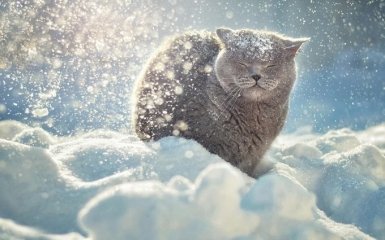 Снежный апокалипсис в Украине: названы области, которые заметет снегом