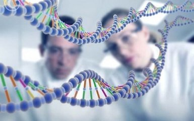 У мужчин и женщин отличается работа более 6 тыс. генов - ученые