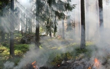 Масштабный лесной пожар охватил целый штат в США