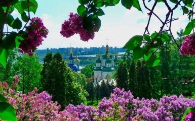 Весенние сады Киева: как спланировать прогулки и снять квартиру посуточно