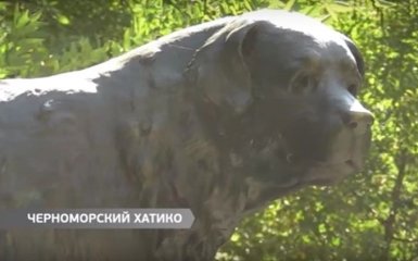 Памятник "украинскому Хатико" появился под Одессой: опубликовано видео