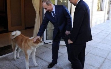 Меняем пса на острова: соцсети насмешил японский подарок Путину