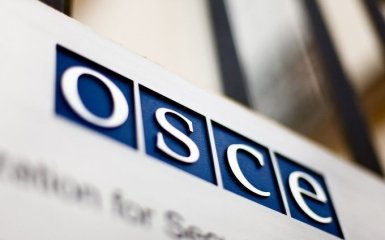 В ОБСЕ раскритиковали Украину за выдворение пророссийских пропагандистов