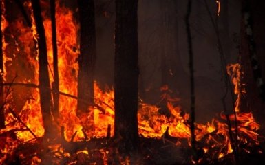 В РФ выдумали «врага», чтобы объяснить пожары в Сибири