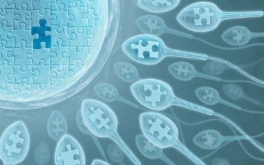 Медики нашли способ снизить мужское бесплодие