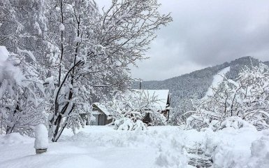 Деды рожали: жуткий случай в России вызвал шквал иронии в сети