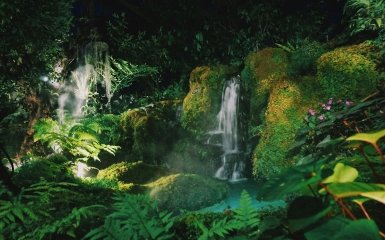 Тропічна "капсула часу" - що про неї відомо