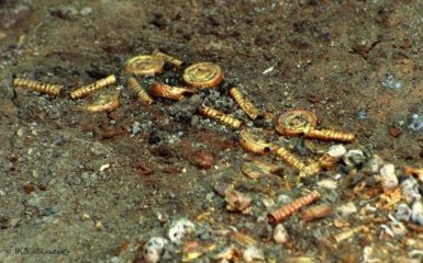 Під Полтавою знайшли скарб – золото скіфів