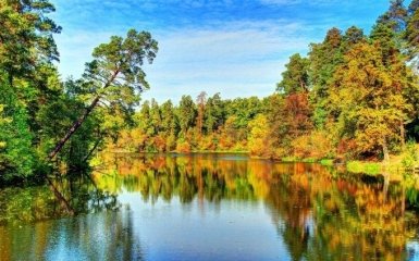 Стало відомо, як у киян хотіли забрати популярний парк