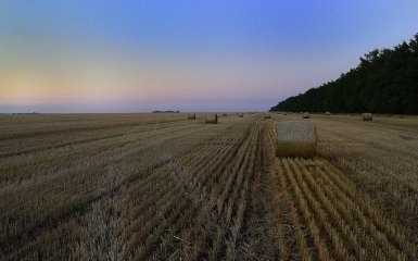 Рада вирішила державні землі повернути громадам - найголовніше