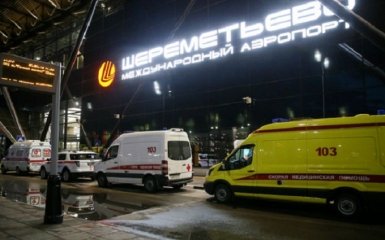 Названа причина гибели части пассажиров самолета в "Шереметьево"