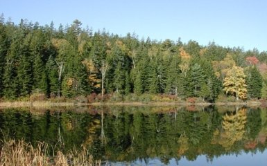 Последствия изменений климата - ученые нашли неожиданную тенденцию