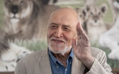 Российский телеведущий рассказал, как сбил пожилую женщину