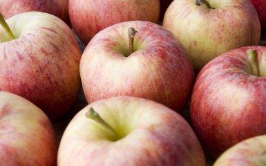 Яблочная диета может предотвратить инфаркт