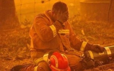 Более миллиарда животных и десятки людей: шокирующие данные о погибших в пожарах Австралии