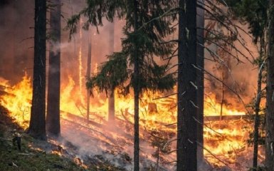РФ спровокувала пожежі в зоні відчуження на площі 10 тис гектарів