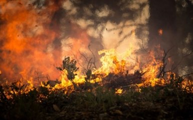 Пожежа у Чорнобильській зоні: NASA показало наслідки з космосу