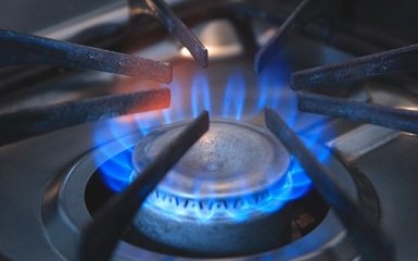 Шмыгаль уточнил будущее цен на газ в Украине