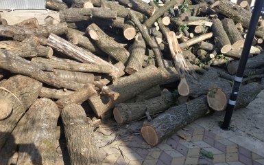 дрова